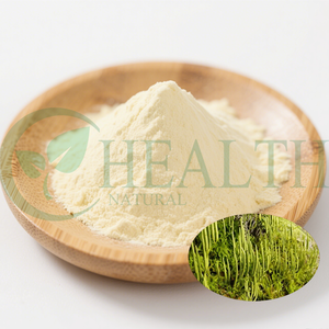 Grosir bubuk Lycopodium murni serbaguna klub Moss Dragon's Breath Powder Lycopodium Spore Powder ringan - Product Image 1