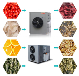14 Năm Nhà Máy Công Nghiệp Dehydrator Rau Và Trái Cây Máy Sấy Hành Tây Xoài Và Mận Máy Sấy Bơm Nhiệt Máy Sấy Khô - Product Image 6
