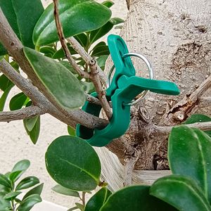 10 pinces de fixation réutilisables vertes pour plantes de jardin, légumes de serre, fleurs, tiges, vignes, supports de raisin, attaches rapides - Product Image 3