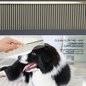 Fabbrica all'ingrosso Logo personalizzato dorato in acciaio inossidabile pettine per capelli in metallo cane pettine per pulci - Product Image 6