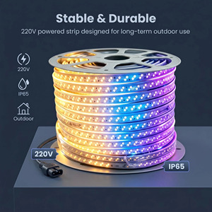 Bande <span class=keywords><strong>LED</strong></span> à changement de couleur <span class=keywords><strong>220V</strong></span> SMD2835 180 <span class=keywords><strong>LED</strong></span>/m, double rangée diagonale, blanc chaud, <span class=keywords><strong>bleu</strong></span>, violet, <span class=keywords><strong>ruban</strong></span> lumineux <span class=keywords><strong>LED</strong></span> avec fil de connexion - Product Image 1