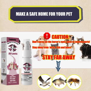 <span class=keywords><strong>Spray</strong></span> buccal pour animaux de compagnie, rafraîchisseur d'haleine, nettoyant dentaire, colle pour dentelle, poudre coiffante imperméable pour cheveux, en vrac - Product Image 4