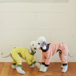 Combinaison pour chiot à séchage rapide, respirante, antibactérienne, à quatre pattes, UPF50+, vêtements pour chien, protection solaire estivale pour animaux de compagnie - Product Image 4