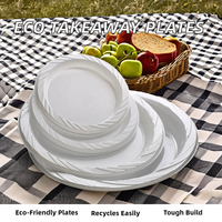 Assiettes jetables écologiques en plastique de 10 pouces pour la restauration, le service de restauration et les repas en plein air