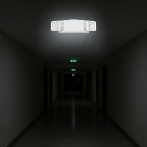 Lumière d'urgence LED, 6 luminaires d'évacuation avec batterie de secours, utilisation commerciale, haute visibilité, protection contre les pannes de courant - Product Image 2