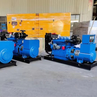 Générateurs électriques diesel magnétiques 30/40/70/100KW Garantie 1 an Équipement essentiel pour l'élevage de bétail, l'élevage de volailles, l'apiculture