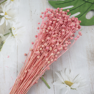 Flores decorativas, suministro de floristería, Frijol de Acacia, semilla de lino en conserva seca, ramo de frutas, ramo de Linum, frijol de lino, fruta - Product Image 5
