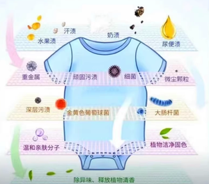 Détergent Enzyme-Protéase alcaline - Product Image 4