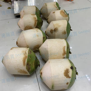 Máquina de corte de <span class=keywords><strong>coco</strong></span> verde, peladora de <span class=keywords><strong>coco</strong></span> verde, precio, 6 segundos por Ud. - Product Image 4