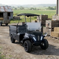 Voiturette de golf électrique 2 places avec coffre arrière, batterie au lithium, homologuée CE, pour le transport de marchandises dans les centres de villégiature et les parcs.