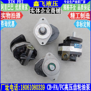 Bombas de Aceite para Engranajes de Alta Presión CB-FA10 FA16 FA18 FA25 FA32 FA40 para Maquinaria de Construcción y Bombas de Concreto - Product Image 3