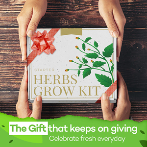 Kit de jardí<span class=keywords><strong>n</strong></span> de hierbas Regalos únicos de jardinería para mujeres <span class=keywords><strong>8</strong></span> Variedad Kit de jardí<span class=keywords><strong>n</strong></span> de hierbas culinarias Interior y exterior - Product Image 4