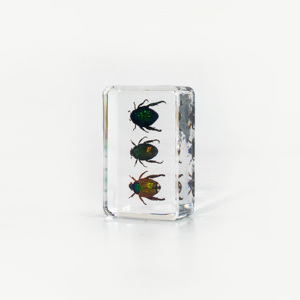 Benji-مجسمات حشرات حقيقية, مصنوعة من الراتينج ، باللون الأخضر ، الزهري ، الخنفساء ، حشرة ، مصنع بوزن الورق - Product Image 4