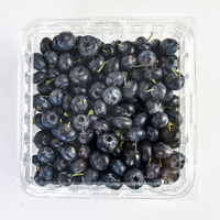 Barquettes d'emballage pour myrtilles en plastique PET recyclé de 1,5 lb, boîte d'emballage pour fruits, conteneur à clapet pour myrtilles avec couvercle à charnière