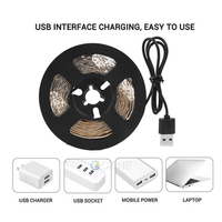 Usb 5v A Mené La Lumière à Spectre Complet Led Bande Étanche 2835 Puce Led Phyto Lampe Rose Ruban Led Plante Croissance croître Lumières