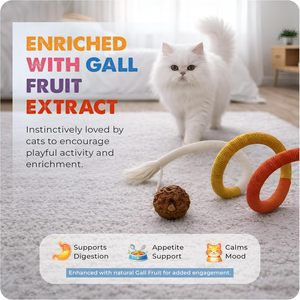 <b>Toys</b> <b>for</b> <b>Pet</b> <b>Interactive</b> Movement <b>Toys</b> Cat Bite Rope Chewing Stick Self-Entertainment Relieves Boredom Teases Cat Cotton Rope - Product Image 2