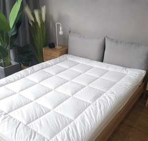 Matelas, vente <span class=keywords><strong>en</strong></span> gros économique doux <span class=keywords><strong>et</strong></span> super chaud <span class=keywords><strong>surmatelas</strong></span> plume <span class=keywords><strong>de</strong></span> <span class=keywords><strong>duvet</strong></span> <span class=keywords><strong>de</strong></span> <span class=keywords><strong>canard</strong></span> d'oie - Product Image 1