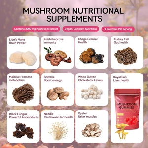 Oem/ODM nấm Gummies nấm hàng ngày bổ sung với sư tử bờm, linh chi, Chaga, gà tây đuôi, maitake não hỗ trợ - Product Image 2