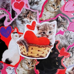 Cartes de la Saint-Valentin <span class=keywords><strong>à</strong></span> <span class=keywords><strong>gratter</strong></span> et <span class=keywords><strong>à</strong></span> sentir, parfum fraise, cartes de la Saint-Valentin pour chats et animaux de compagnie, cartes d'<span class=keywords><strong>amour</strong></span> avec enveloppes et autocollants en forme de cœur - Product Image 6