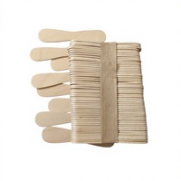 Cuillères à glace écologiques en bois biodégradables, design plat, pour dégustation, emballage en vrac, portables, pour glaces maison et produits congelés
