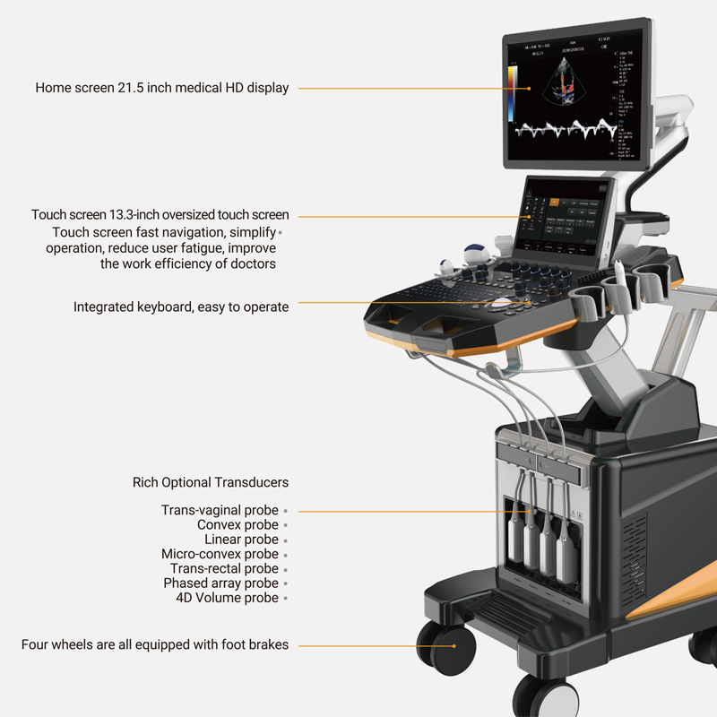 MN-Ultra8 Laptop Cart Ultrasonic Color Scanner Portable Ultrasonic Affordable Ultrasonic Scanner