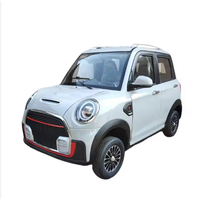 Adulte smart mni voiture électrique 3000W 60V moteur avec 4 sièges à vendre prix de gros