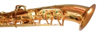 Saxofón Alto Profesional Huayun de Latón con Acabado Dorado, Estuche Rígido, Boquilla Ajustable, Correas, Cañas y Kit de Limpieza