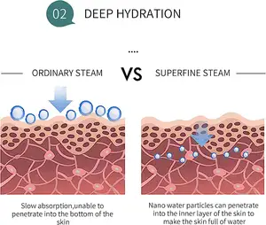 OEM ODM Nano iyonik yüz buhar makinesi yüz bakımı için taşınabilir yüz vapur derin temizlik ev nemlendirici Sauna SPA