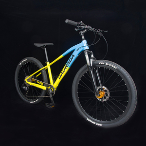 2025 29 pouces adulte hydraulique VTT usine en gros en alliage d'aluminium 10 vitesses vtt vélo - Product Image 4