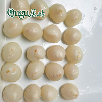 Blik Lychee Kan Voedsel Stuff Ontpit Lychee
