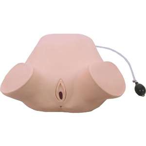 Modello di Addestramento per Esame Anale e Vaginale a Quattro Fasi in PVC, Dimensioni Reali, per Ostetricia e Ginecologia - Product Image 1