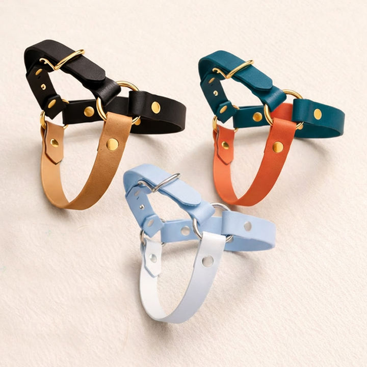 Pink Blue Rose Red more