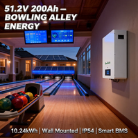 Baterai Lithium Ion 10kWh 48V 51.2V 200Ah untuk Sistem Surya Terpasang di Dinding