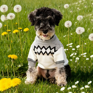 Dog Sweater Luxury Designer Dog Clothes French Bulldog Schnauzer Corgi Chihuahua Puppy Clothes Dropshipping - Product Image 5