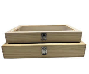 Vitrine d'exposition de spécimens de musée avec étagères en verre - Product Image 6