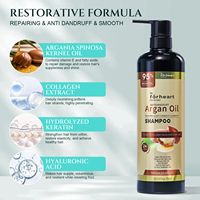 Sampo Minyak Argan Bebas Sulfat untuk Pertumbuhan Rambut, Sampo Anti Ketombe 2 in 1, Bernutrisi Organik, OEM ODM Salon
