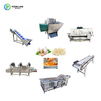 Set voor de productie van knoflookpuree met lage investering, eenvoudig te bedienen batch-kruidenverwerkingsapparatuur, productielijn voor knoflookpuree