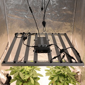 Inventronics 800W dẫn lái xe cho phát triển Ánh sáng thay đổi độ sáng phát triển ánh sáng 0-10V EUM-880S20AMG 880W 5 năm bảo hành làm vườn IP66 IP67 - Product Image 3