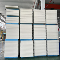 Panneaux sandwich en polyuréthane PU/PIR de 50, 75, 100, 120, 150, 180, 200 mm pour l'isolation des toits et des murs, panneaux pour chambres froides et congélateurs