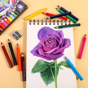 Crayons <span class=keywords><strong>de</strong></span> couleur courts crayons <span class=keywords><strong>de</strong></span> couleur pré-affûtés avec taille-<span class=keywords><strong>crayon</strong></span> et gomme 12 <span class=keywords><strong>couleurs</strong></span> pour les tout-petits étudiants dessin - Product Image 6