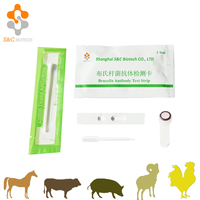 Kits de Prueba de Diagnóstico Rápido VETERINARIO para Tuberculosis Bovina (TB AB), Detección Rápida de Enfermedades en Vacas