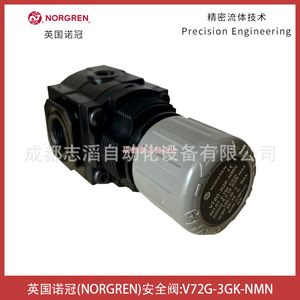 วาล์วนิรภัยนอร์เกรน รุ่น V72G-3GK-NMN เกลียวขนาด 1/2 นิ้ว สำหรับแก๊ส อุณหภูมิปกติ - Product Image 1
