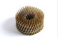 Clous de toiture en bobine de qualité industrielle, tête plate en acier galvanisé, modèle à anneau/à spirale 2.3*64 pour la construction en bois