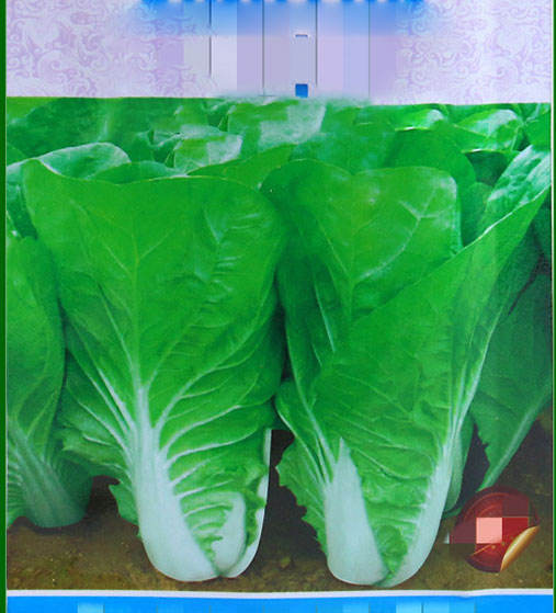 สี่ฤดูกาลอาหารจานด่วน-ชิ้น1500