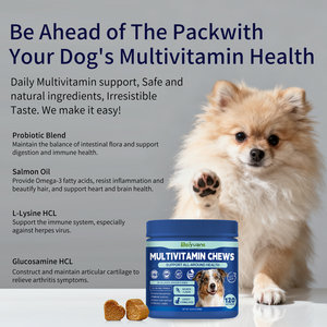 בייואן מולטי ויטמינים לחיות מחמד, תוספי תזונה, ויטמינים A-K, משפרים את מערכת החיסון, תומכים במוח ובלב, וינום לכלבים - Product Image 6