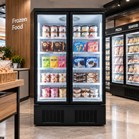 Réfrigérateur vitrine à 2 portes en verre -22°C, congélateur vertical commercial pour supermarché