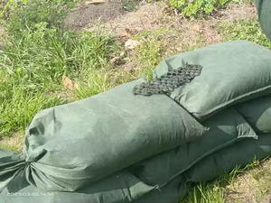 <span class=keywords><strong>Géotextile</strong></span> imperméable écologique moderne de protection de pente de berge de rivière de plage de sable de greening de pp <span class=keywords><strong>prix</strong></span> concurrentiel pour le <span class=keywords><strong>jardin</strong></span> - Product Image 4