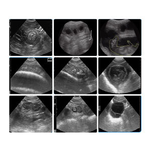 Doppler ultrason tarayıcı hayvan gebelik testi köpek inek at klinik için probları ile ultrason tarayıcı makinesi - Product Image 6