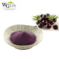 Haute qualité congelé Acai Berry concentré de fruits jus poudre d'anthocyanine usine en gros pour jus boissons tambour de qualité alimentaire