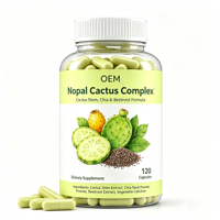 Capsules de Complexe de Cactus Nopal en Gros OEM, Marque Privée, 120 Comprimés, Complément Alimentaire